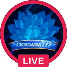 CENDANA777 - Aksi Pertarungan yang Seru